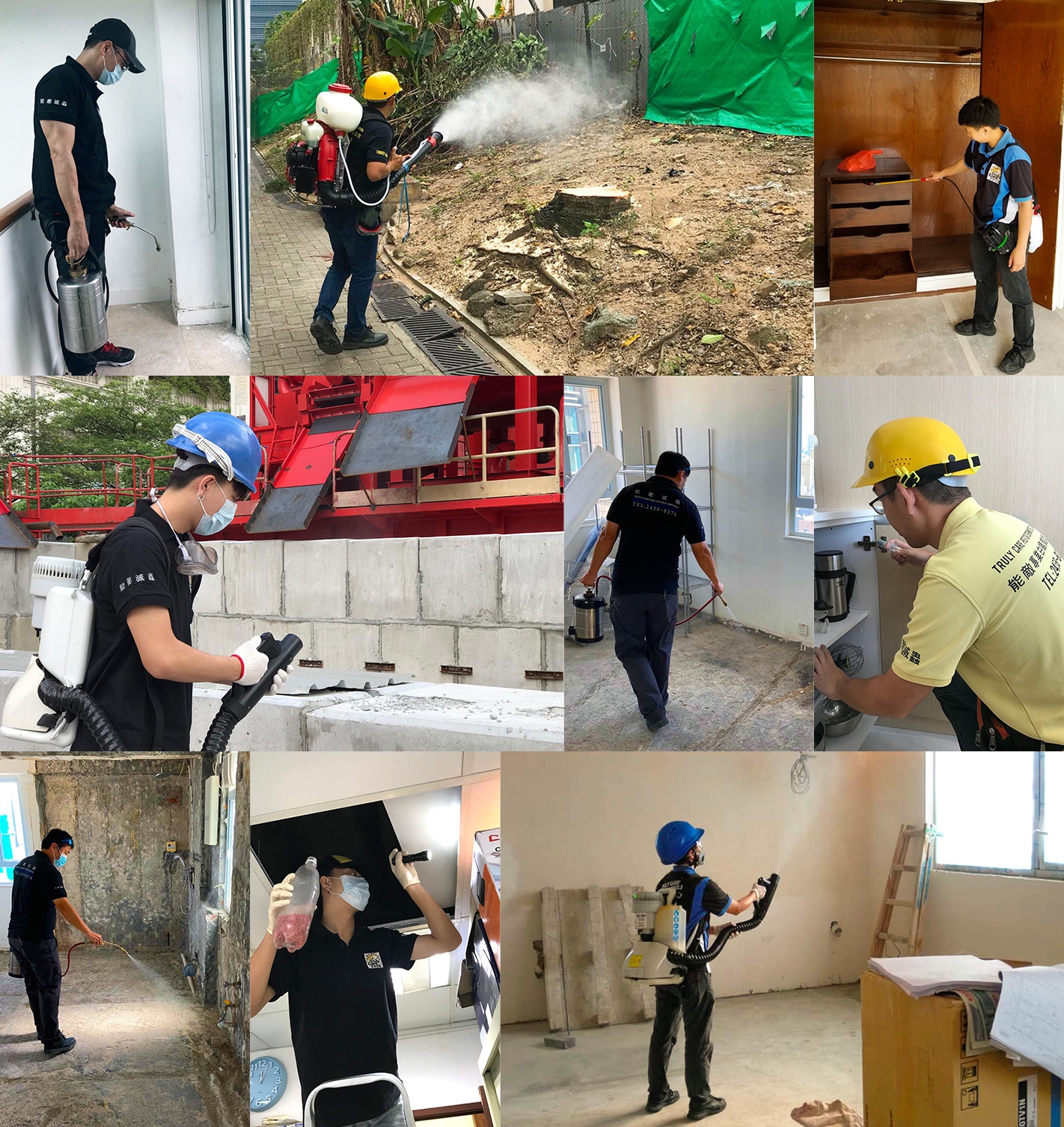 本頁圖片/檔案 - Photos_1422